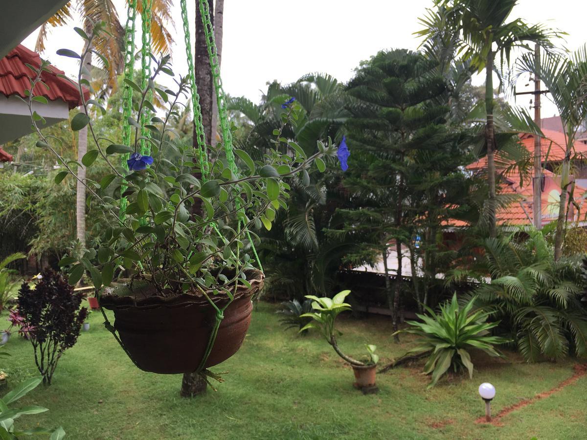 Divine Bliss Beach Resort Varkala Extérieur photo