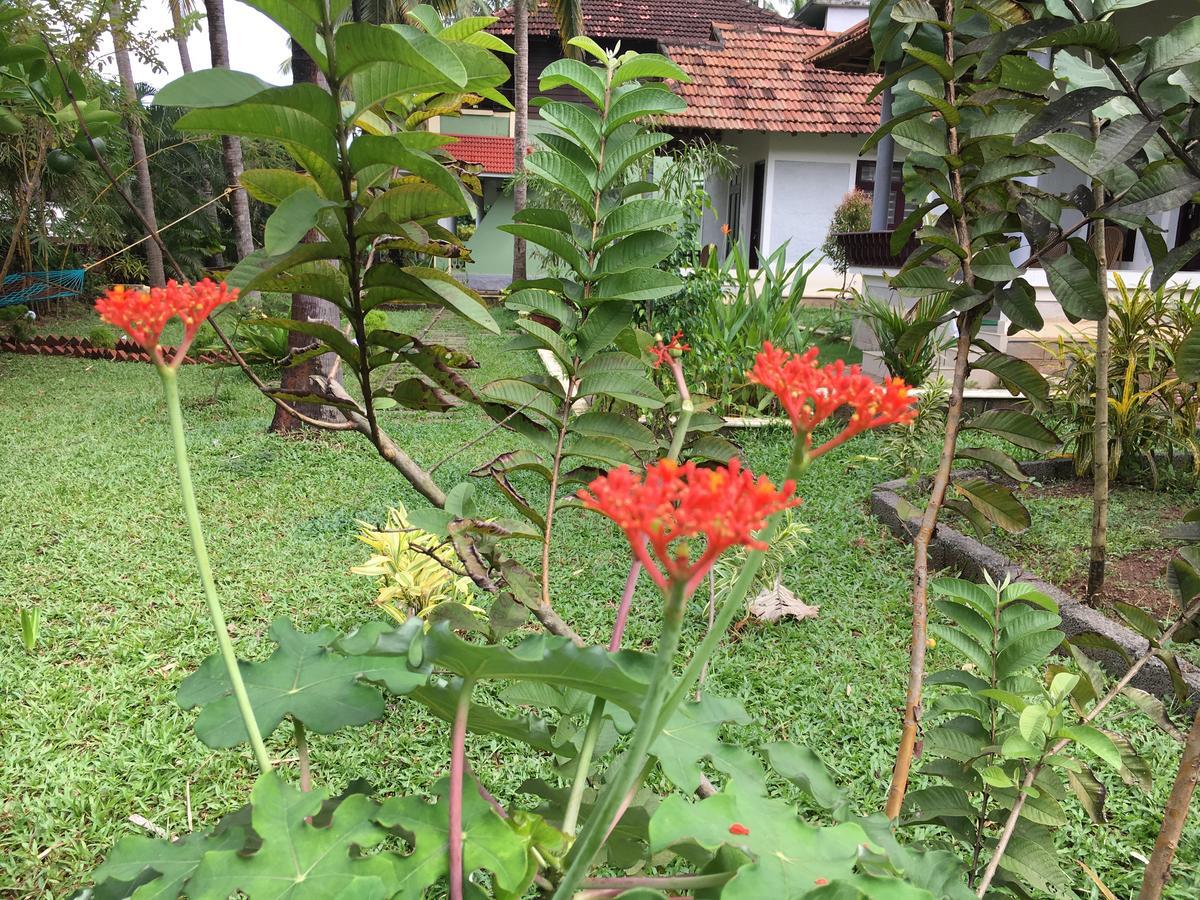 Divine Bliss Beach Resort Varkala Extérieur photo