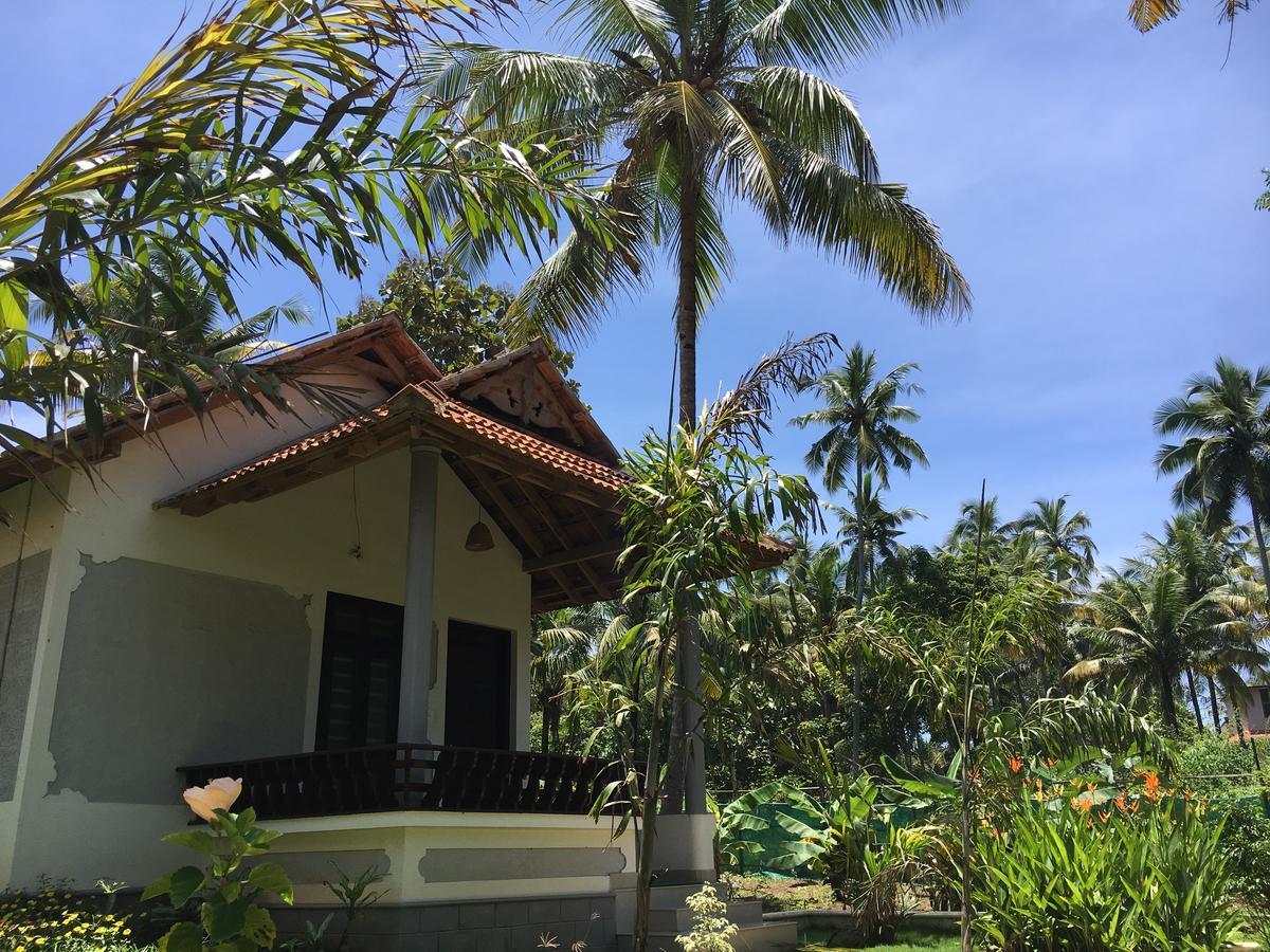 Divine Bliss Beach Resort Varkala Extérieur photo