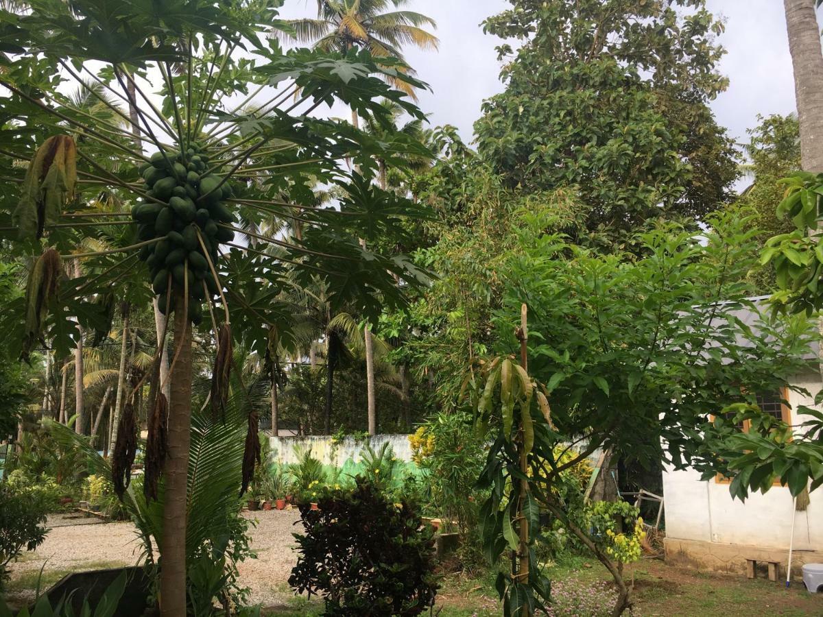 Divine Bliss Beach Resort Varkala Extérieur photo