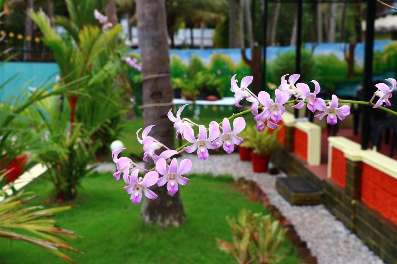 Divine Bliss Beach Resort Varkala Extérieur photo